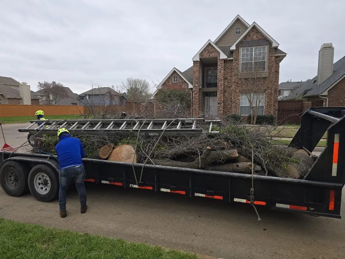 Expert Tree Fertilization with proper safety equipment in Whitewater